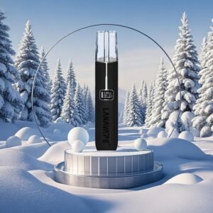 LANA一代皮革主機推薦