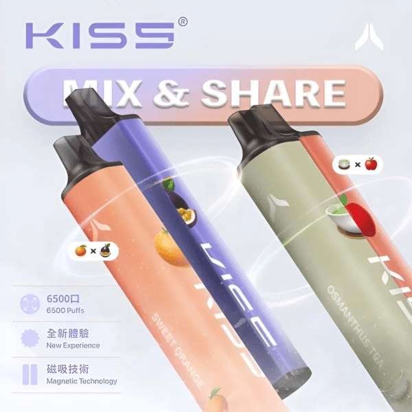 KIS5凱斯拋棄式電子煙口味推薦